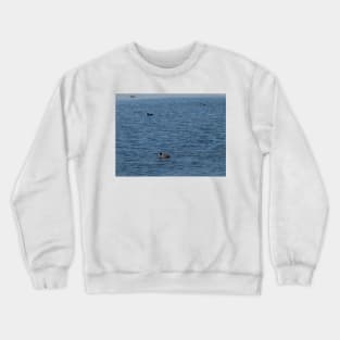 Ducks Crewneck Sweatshirt